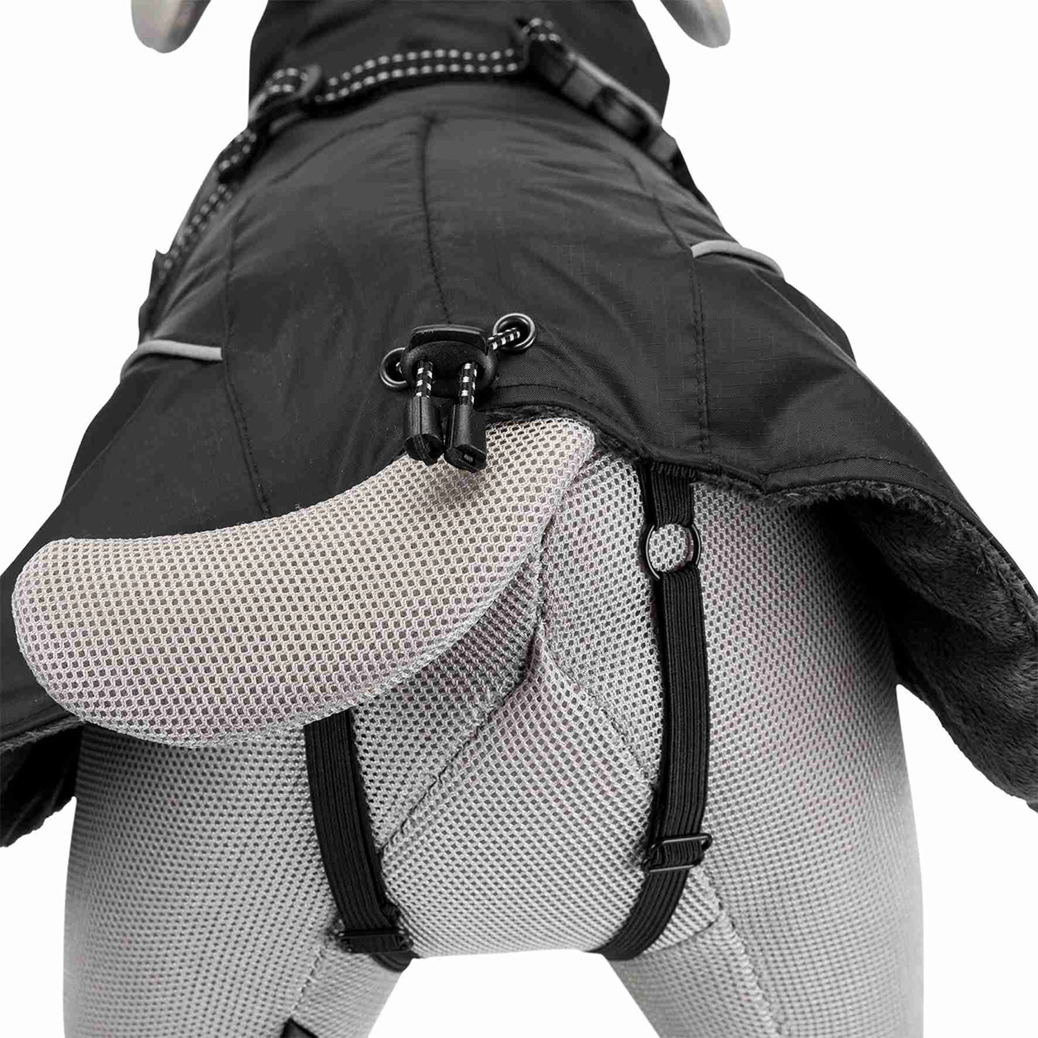 Abrigo Brizon, XS, 30 cm, Negro - Imagen 3