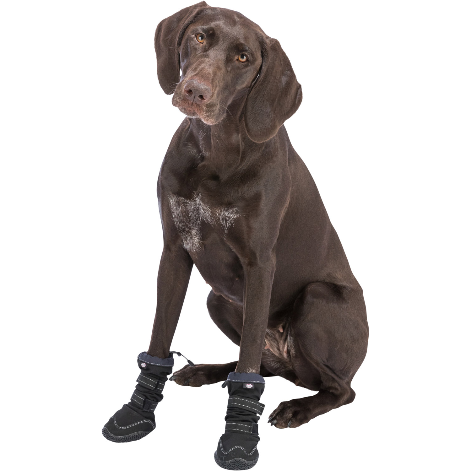Andador de protección de patas activo largo - Imagen 9