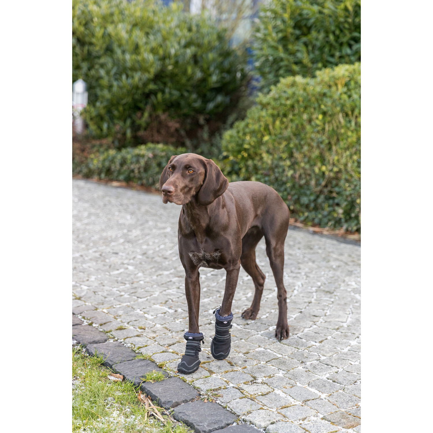 Andador de protección de patas activo largo, S, Negro - Imagen 4