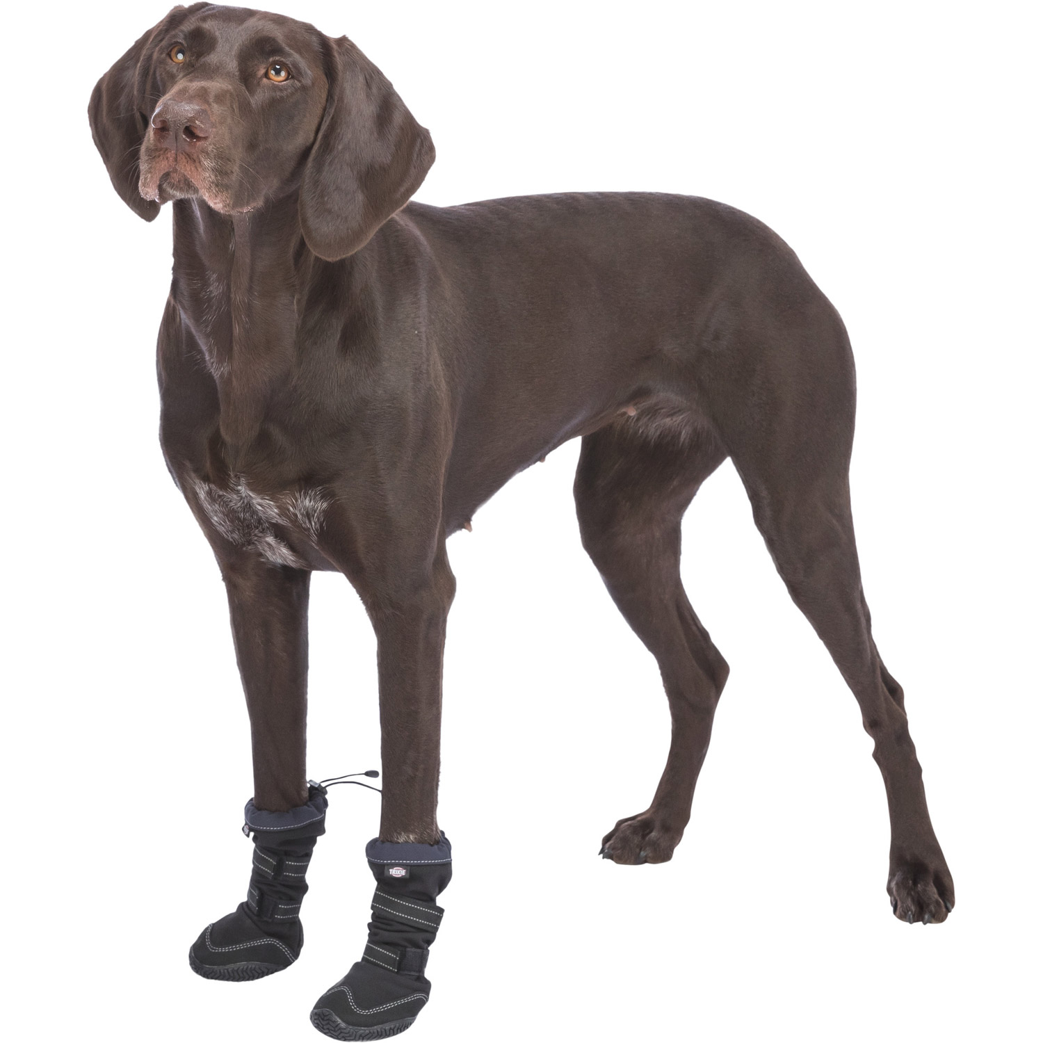 Andador de protección de patas activo largo, S, Negro - Imagen 5