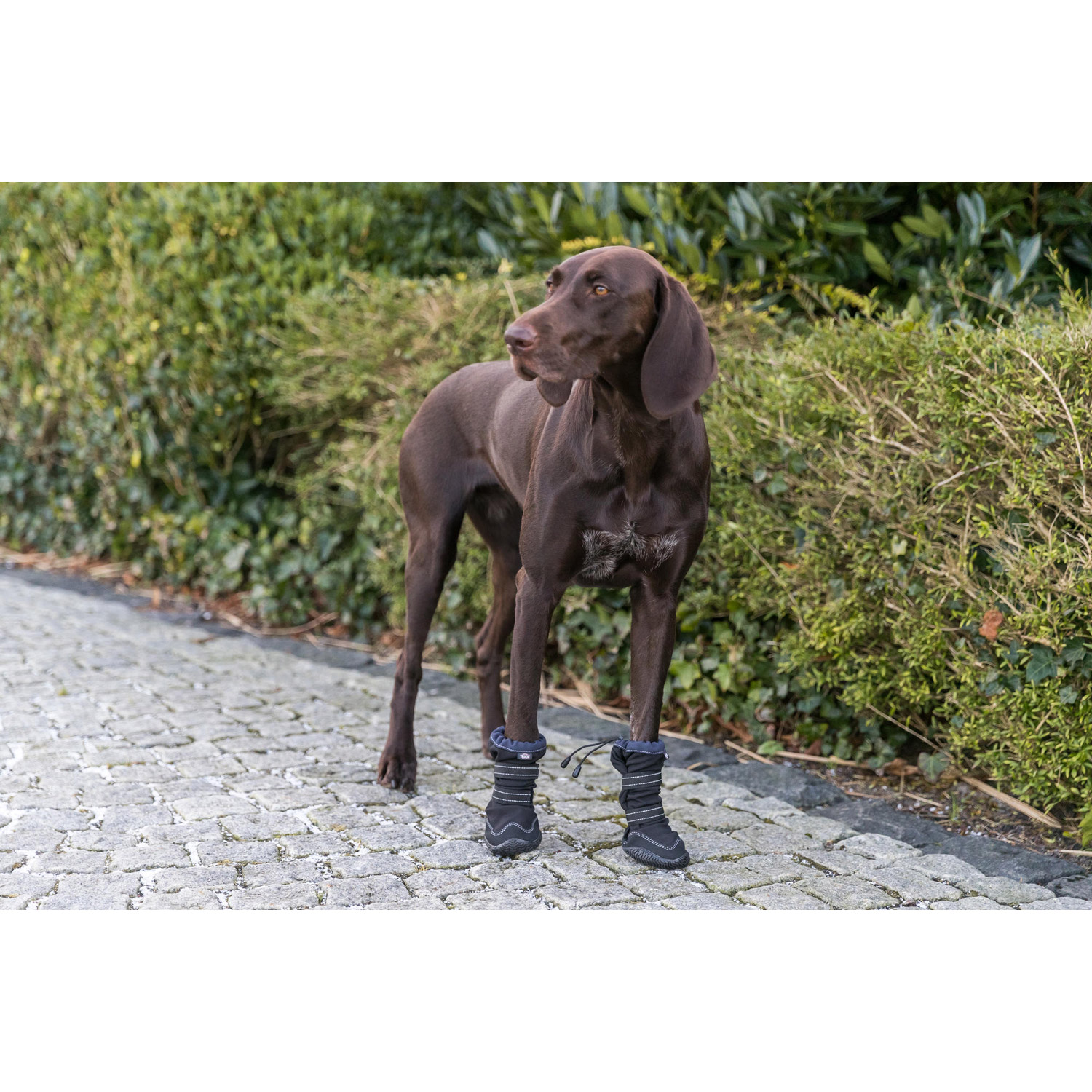 Andador de protección de patas activo largo, S, Negro - Imagen 8