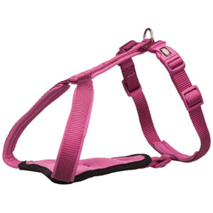 Arnés-Y Premium,XL–XXL:90–110cm/25mm,ColorOrquídea (adviento-03)