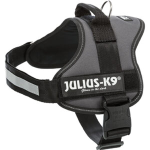 Arnés Julius-K9® Power, 1/L: 66–85 cm/50 mm, Antracita