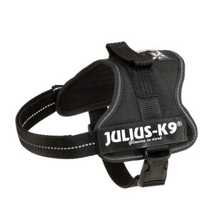 Arnés Julius-K9 Power, Mini-Mini/S, 40–53 cm/22 mm, Negro