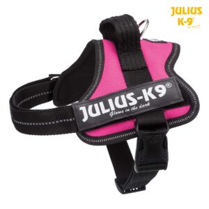 TRIXIE Arnés Julius-K9 Power Fucsia para Perros