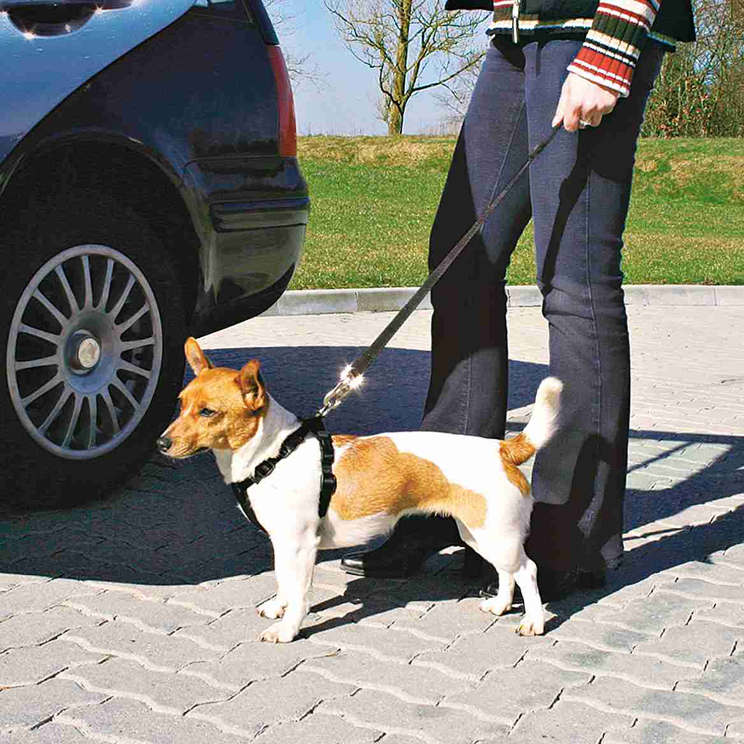 Arnés con cinturón de Seguridad, S, 30-60 cm - Imagen 2