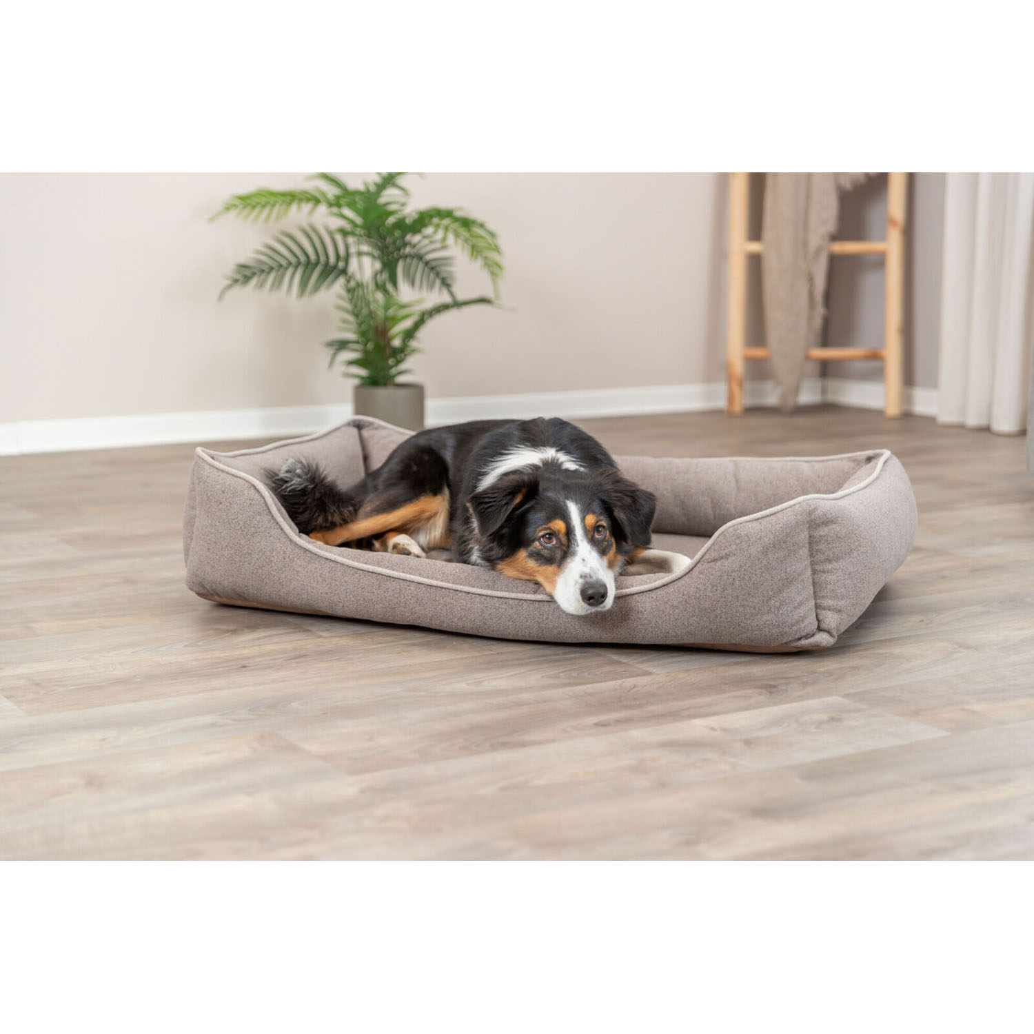 Cama Vital Laurin, 60 × 50 cm, Arena - Imagen 6