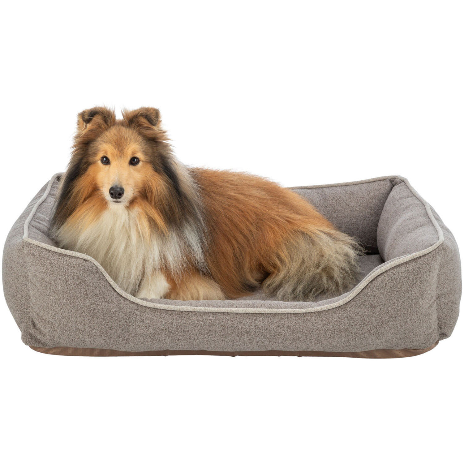 Cama Vital Laurin, 80 × 60 cm, Arena - Imagen 4