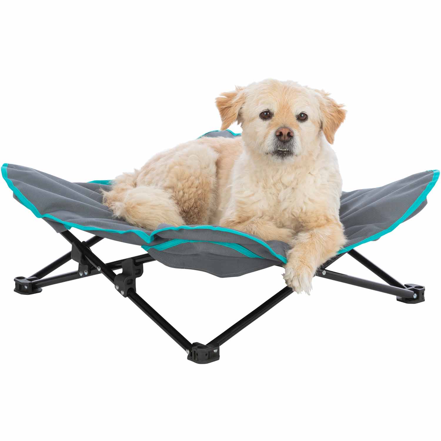 Cama de camping para perros - Imagen 9