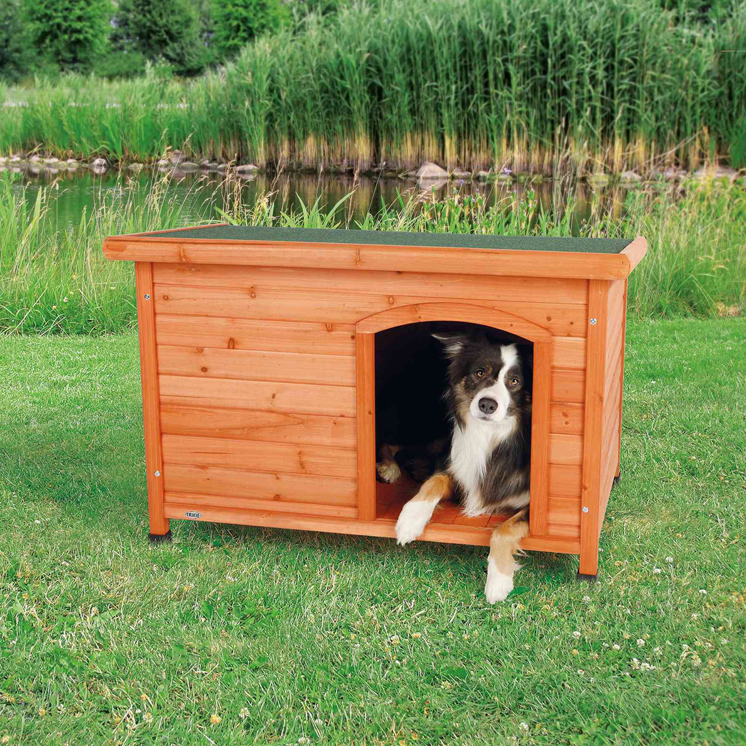 Caseta Perros Classic