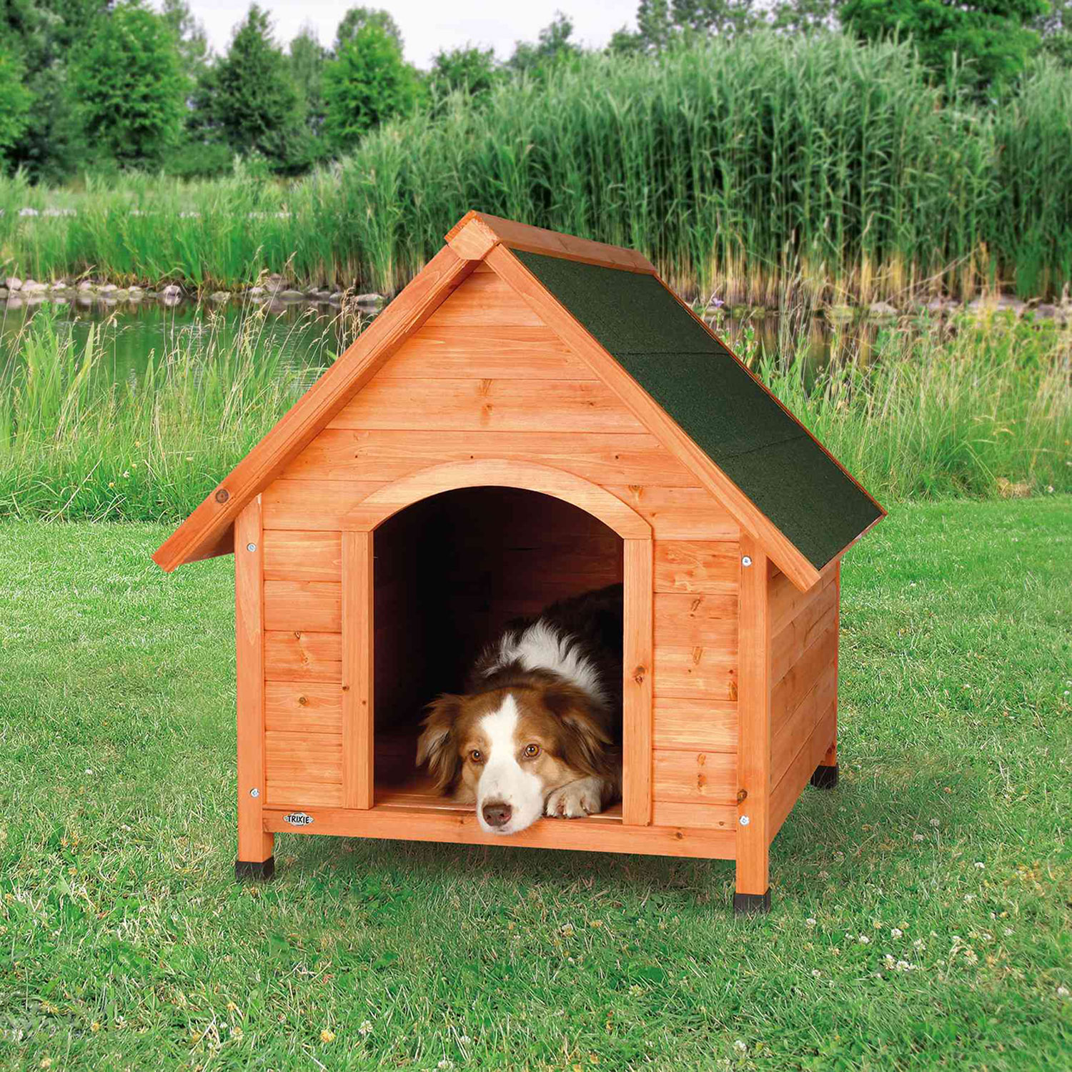 Caseta Perros Cottage - Imagen 2