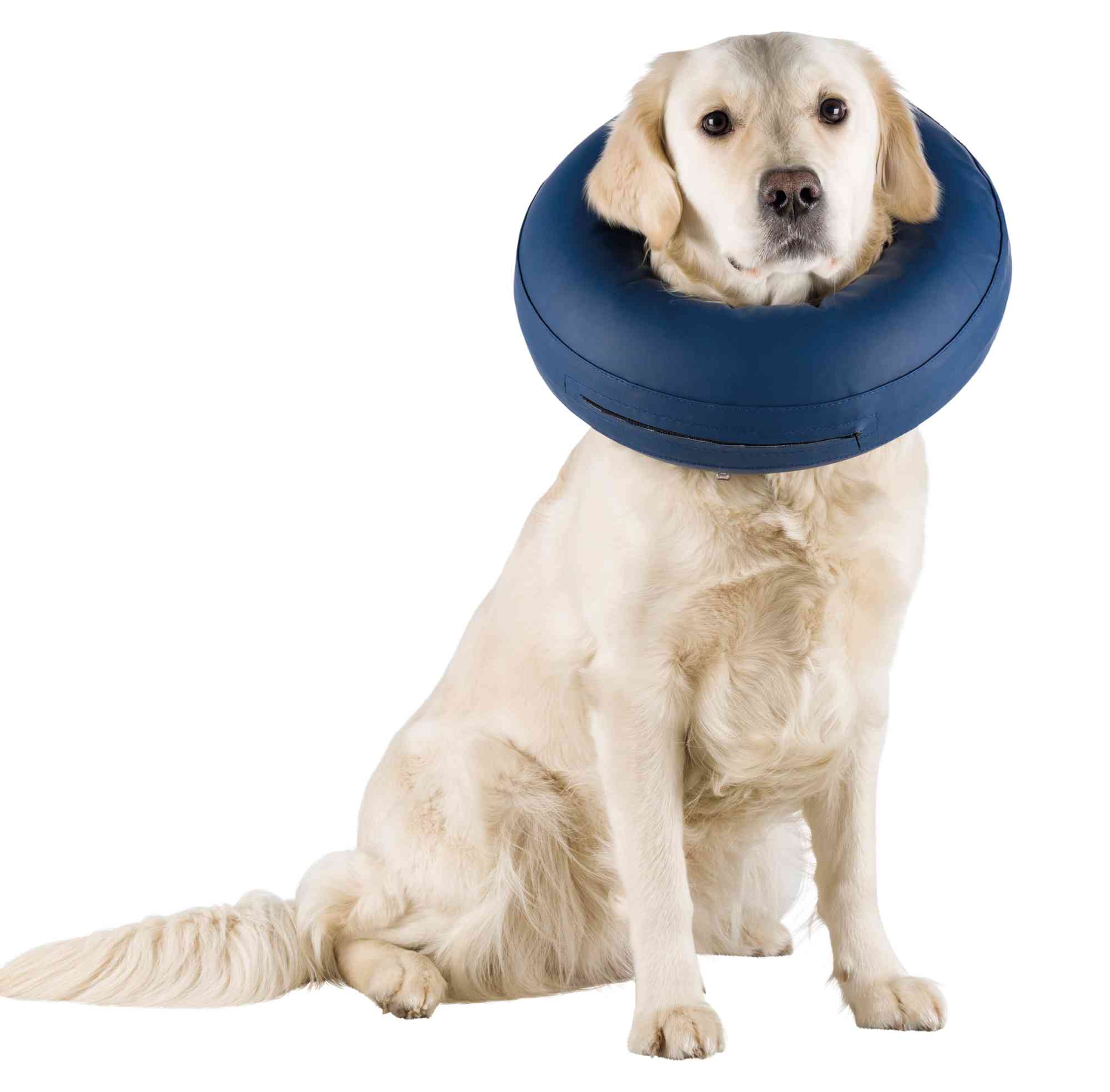 Collar Protector, Inflable, S-M, Azul - Imagen 3