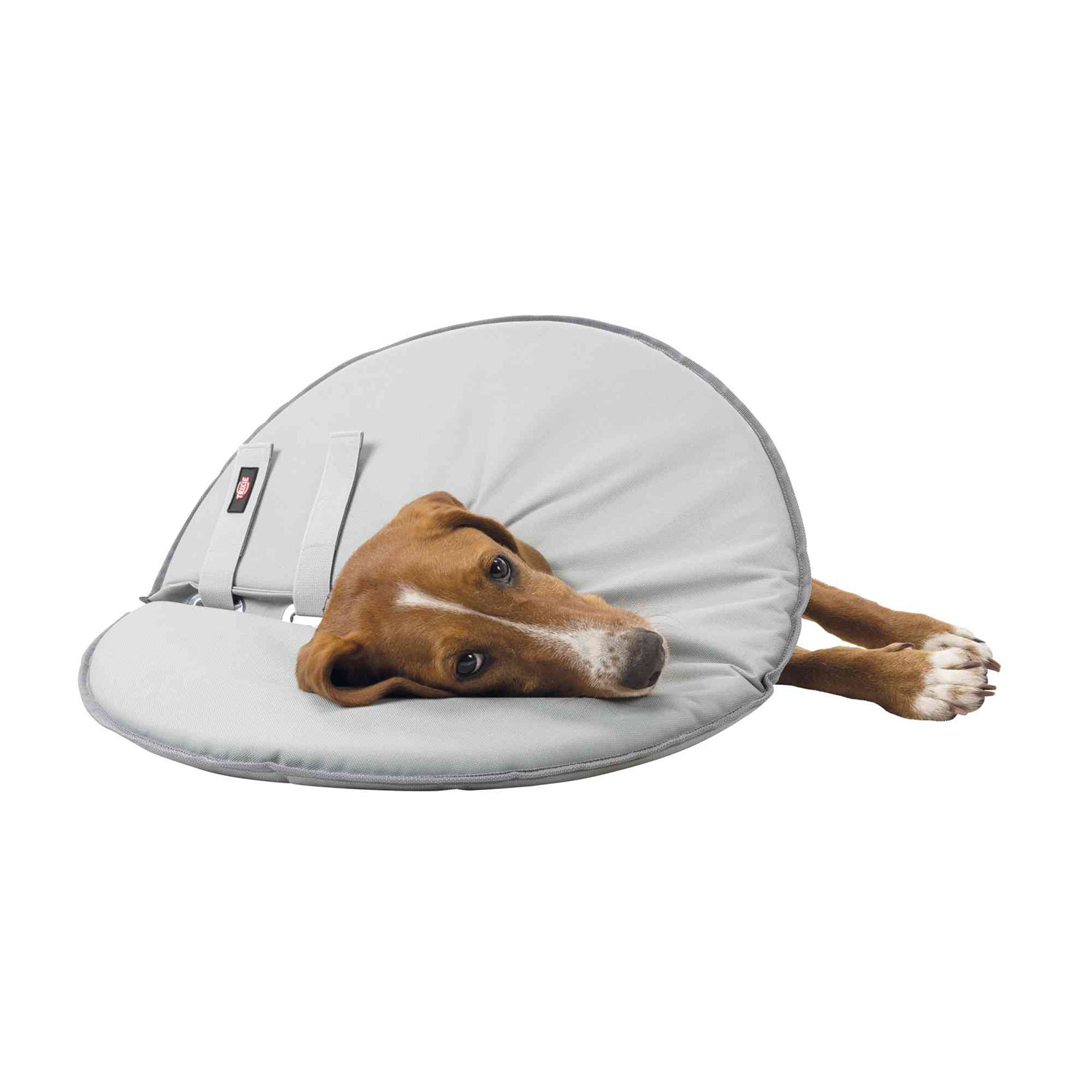 Collar Veterinario - Imagen 6
