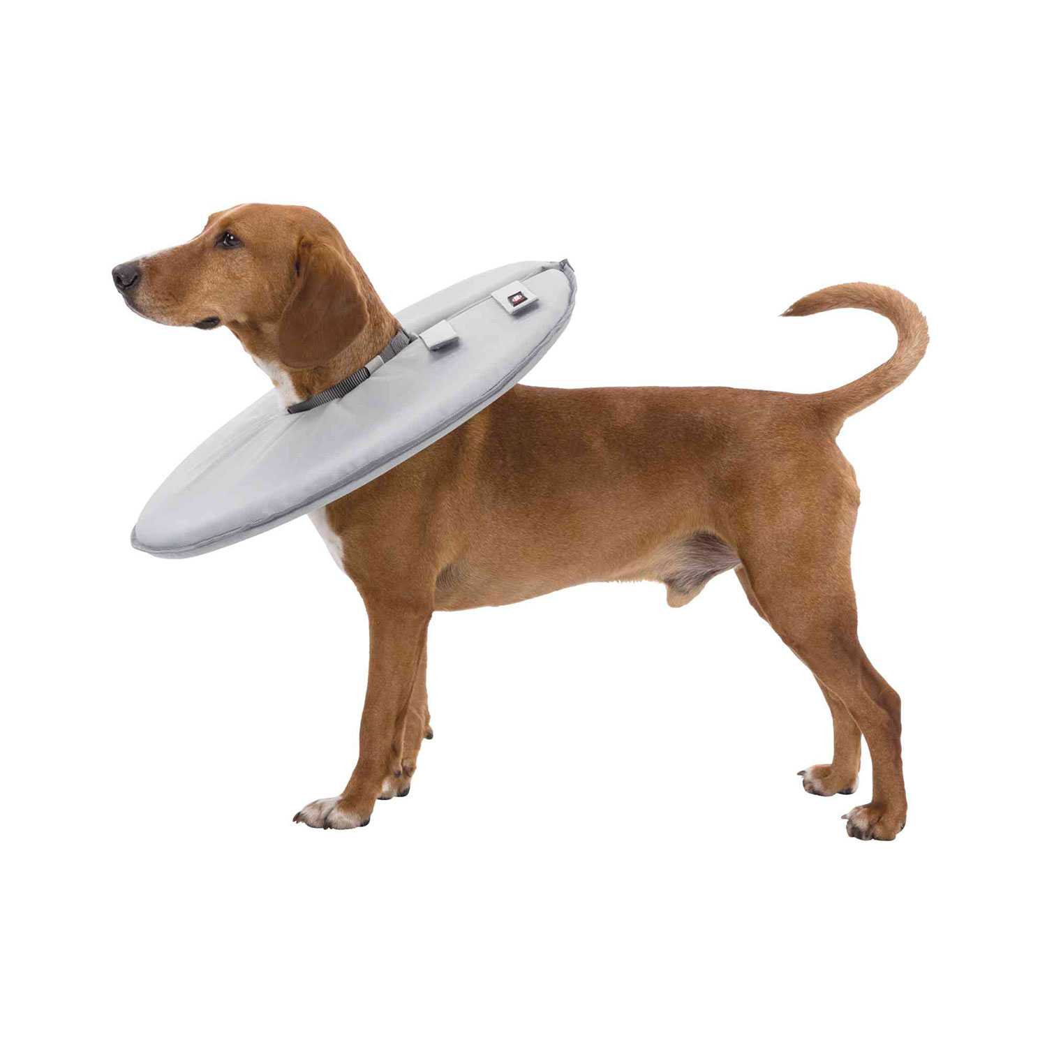 Collar Veterinario - Imagen 5