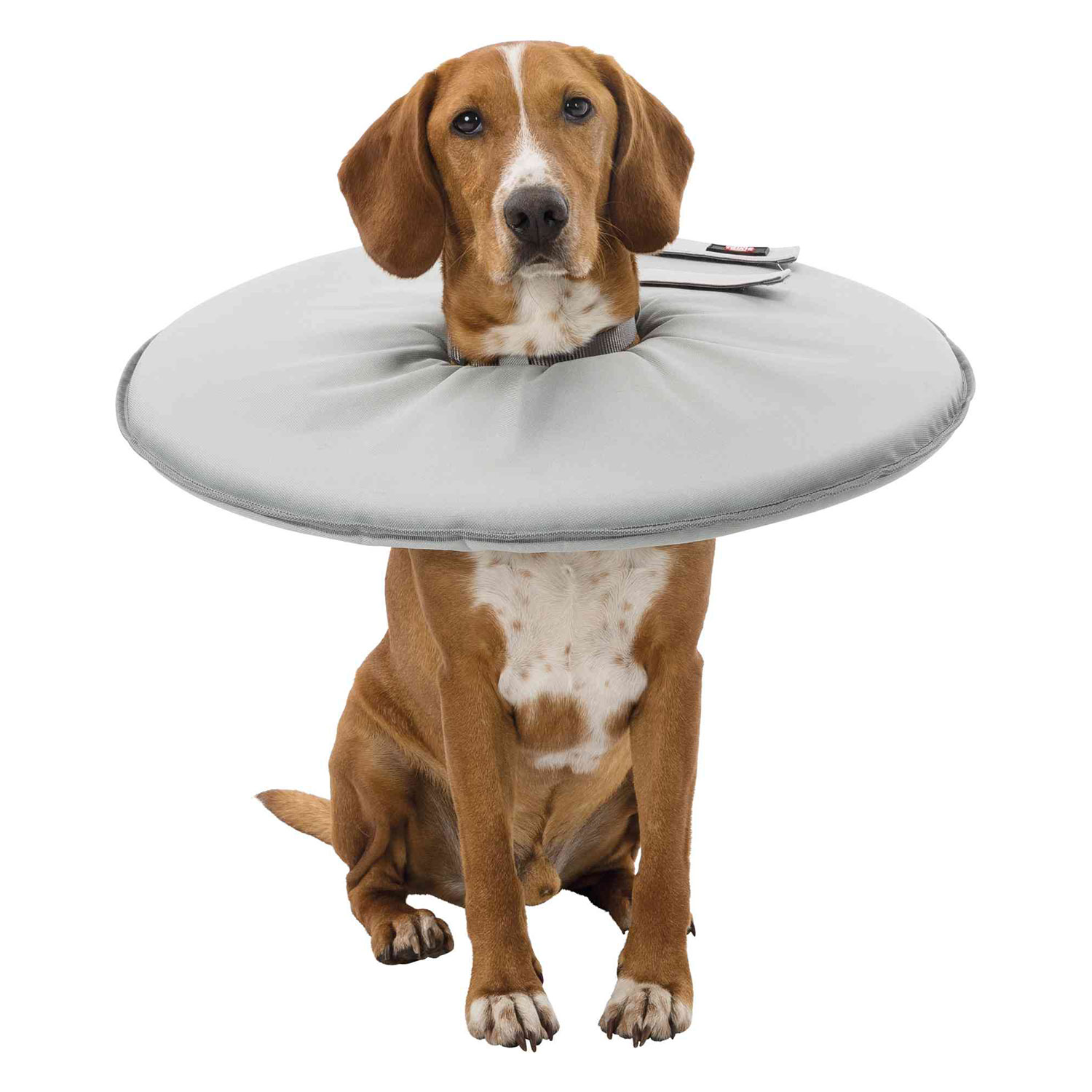 Collar Veterinario - Imagen 6