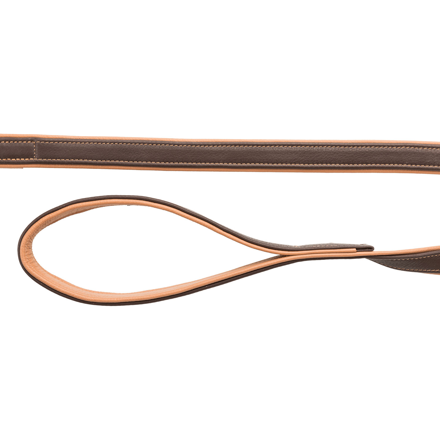 Correa - Imagen 4