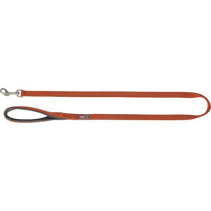 Correa Premium, XS, 1,20 m/10 mm, Óxido