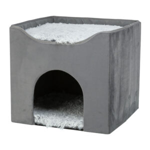 Cueva Harvey