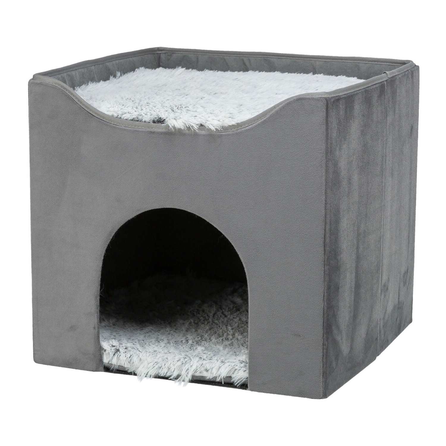 Cueva Harvey
