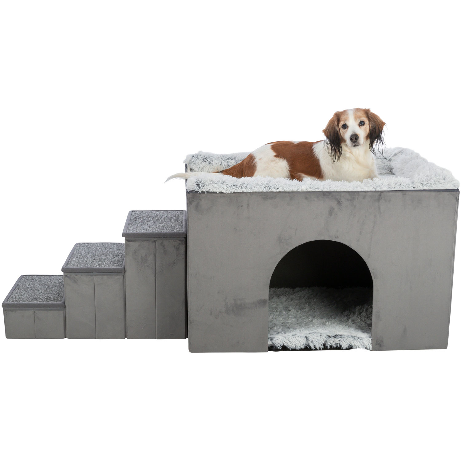 Cueva Harvey con escaleras