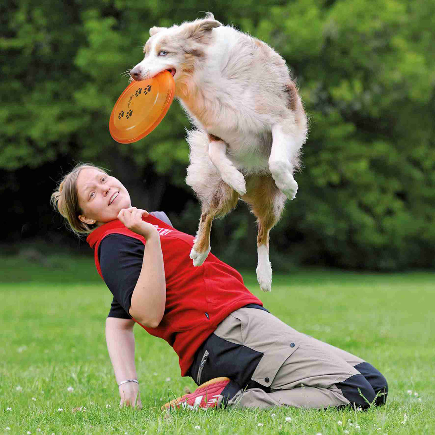 Disc Dog Activity, Plástico extra Resistente, ø23 cm - Imagen 3