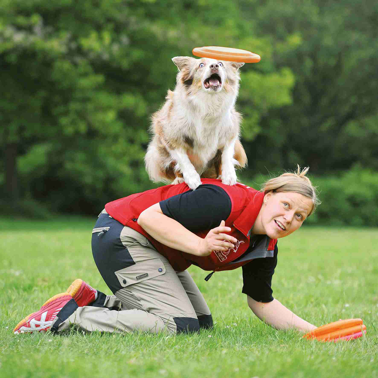Disc Dog Activity, Plástico extra Resistente, ø23 cm - Imagen 4