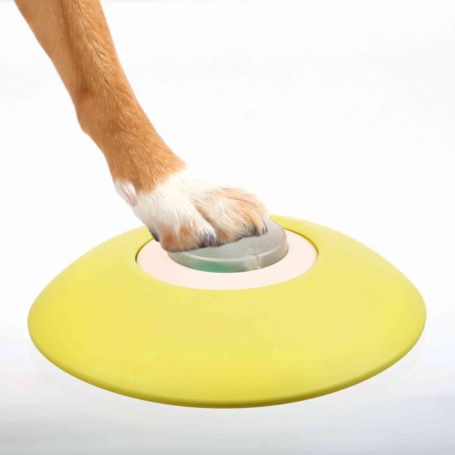 Dog Activity Memory Trainer, ø20 × 24 cm, Nivel 3 - Imagen 3