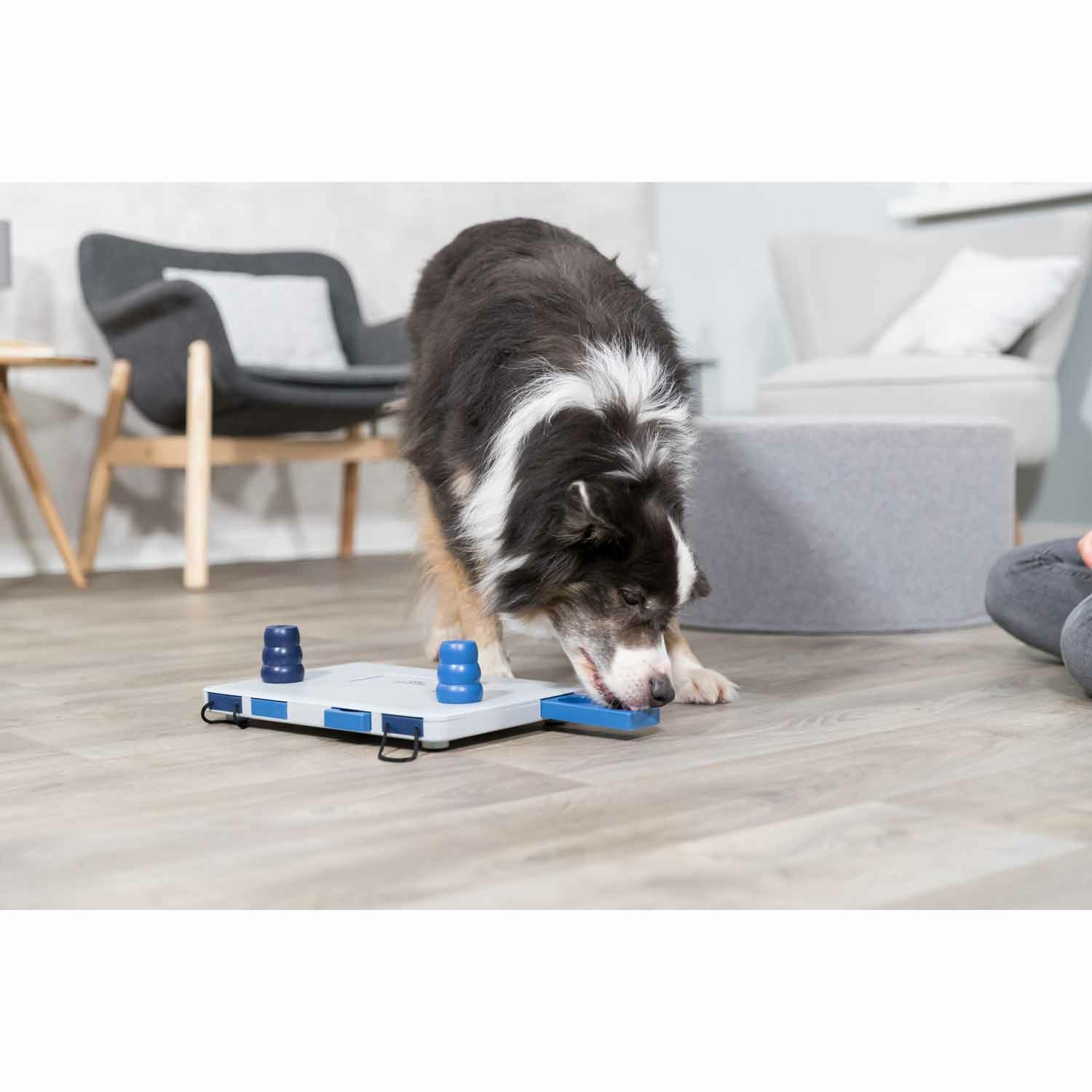 Dog Activity Move2Win, 34 x 6 x 13 cm, Nivel 3 - Imagen 3