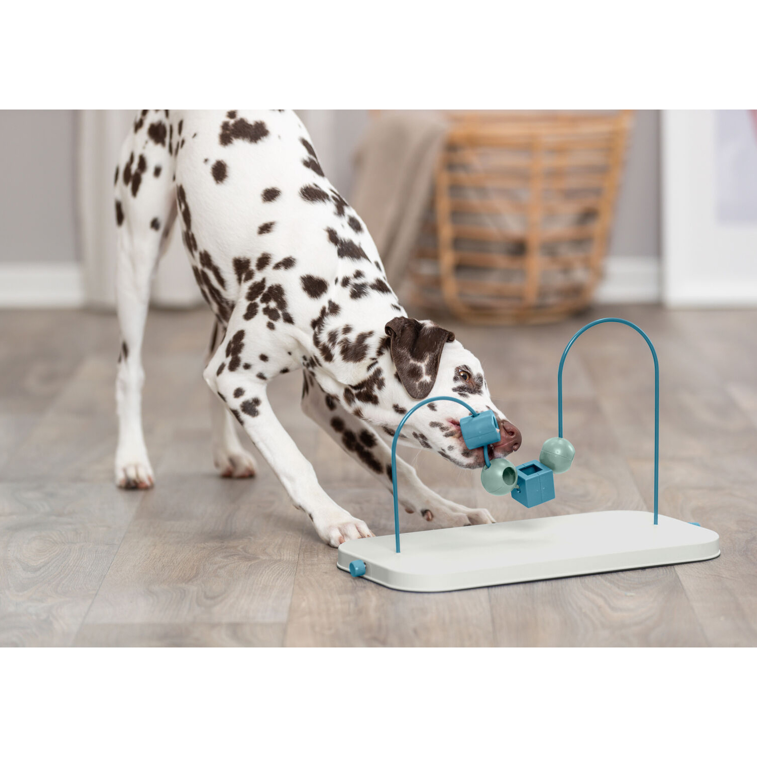 Dog Activity Skills Loop, plástico/metal, 43 cm - Imagen 10