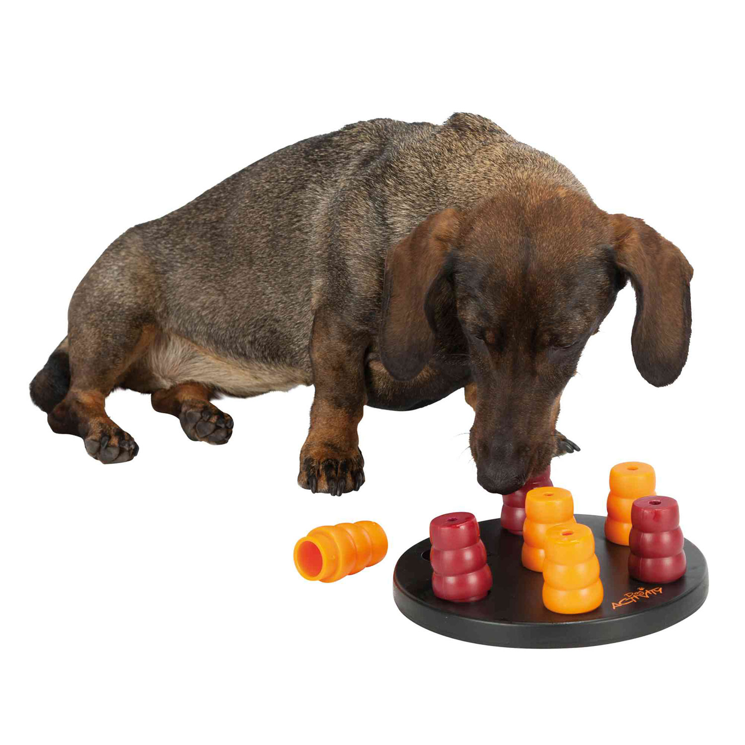Juego Interactivo Dog Activity Mini Solitario, ø20 cm, Nivel 1 - Imagen 3