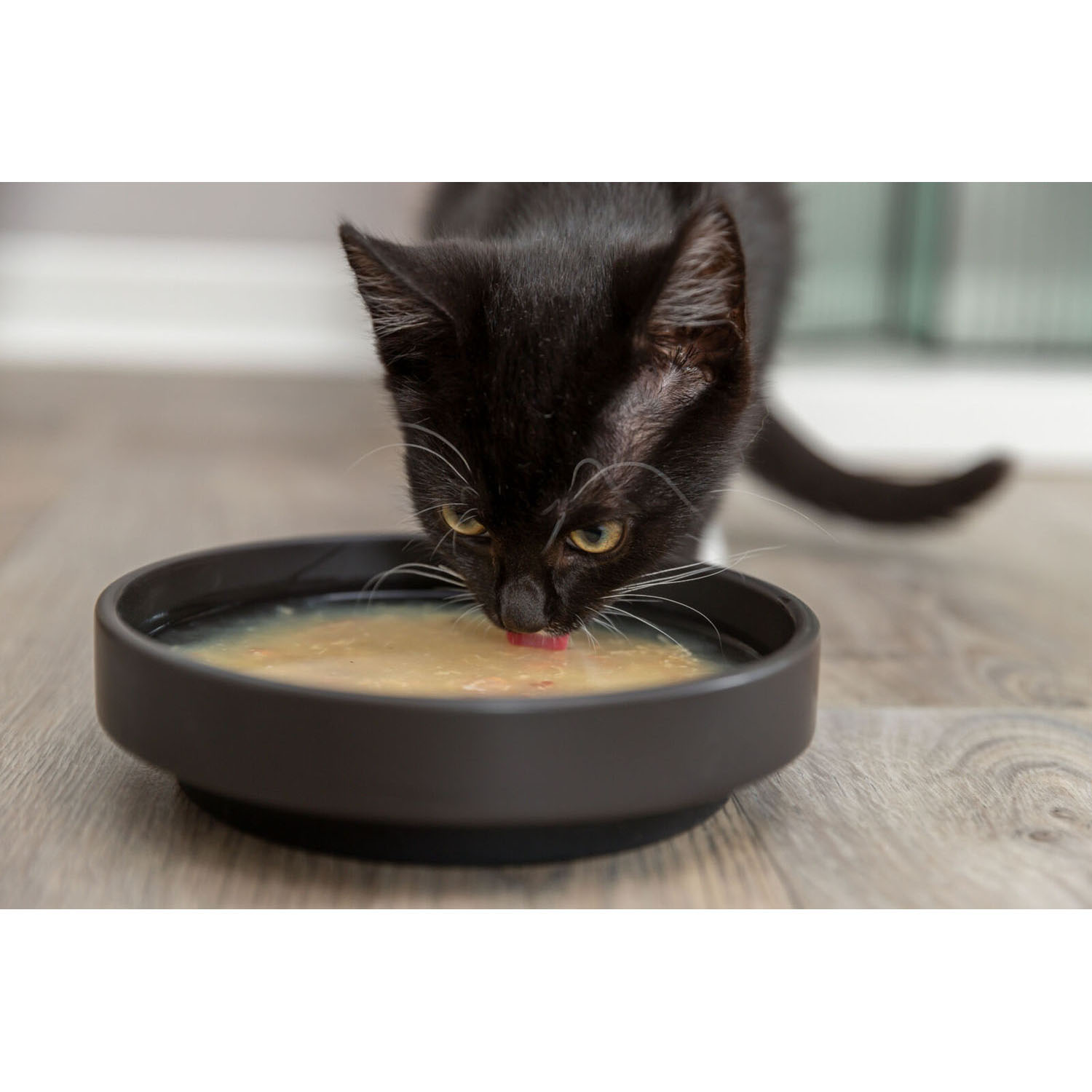 Kittis Shrimp Soup, 4 × 80 g - Imagen 5