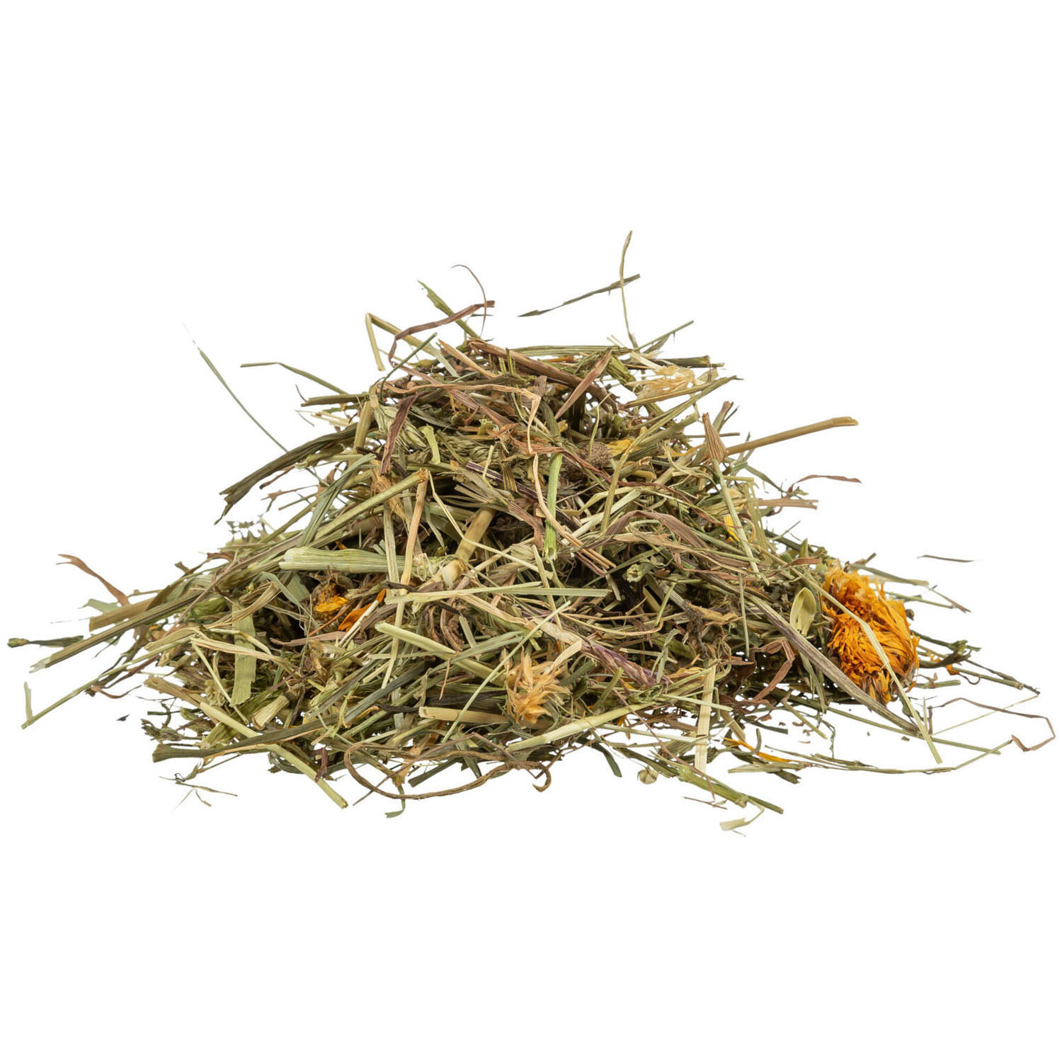 Pastos y Hierbas del Campo para Tortugas de Tierra, 200 g - Imagen 2