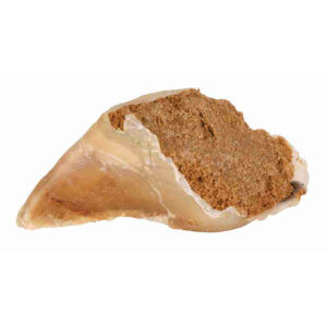 Pezuña rellena de Paté Carne, 115 g