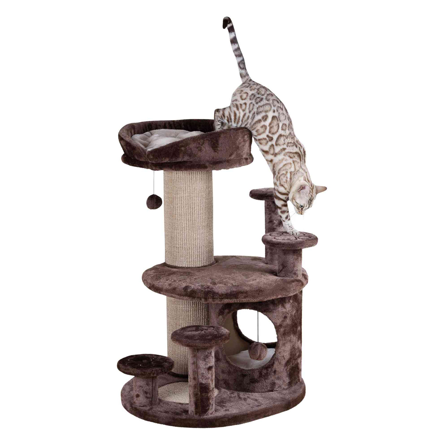 Poste Rascador Emil, Gatos Mayores, 96 cm, Marrón