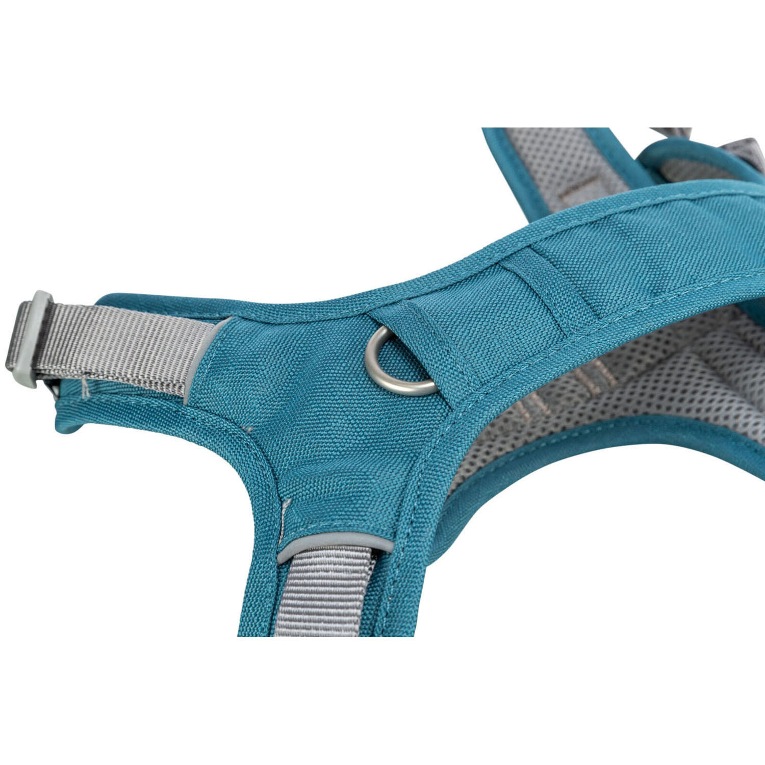 Premium Arnés Active, M, 49–69 cm/20 mm, Azul petróleo - Imagen 2