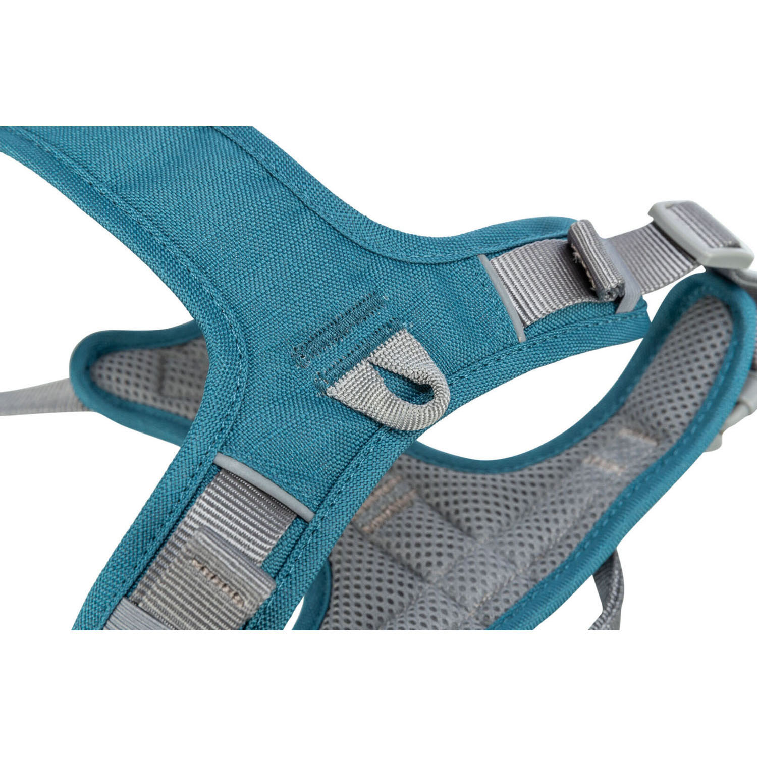 Premium Arnés Active, M, 49–69 cm/20 mm, Azul petróleo - Imagen 3