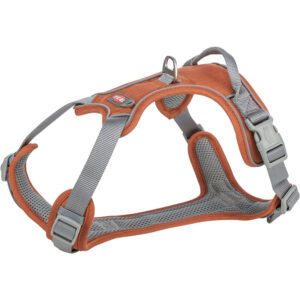 Premium Arnés Active, S, 35–50 cm/15 mm, Óxido