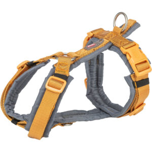 Premium Arnés Trekking, XL, 80–97 cm/25 mm, Curry/Grafito
