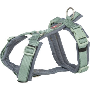Premium Arnés Trekking, XL, 80–97 cm/25 mm, Salvia/Grafito