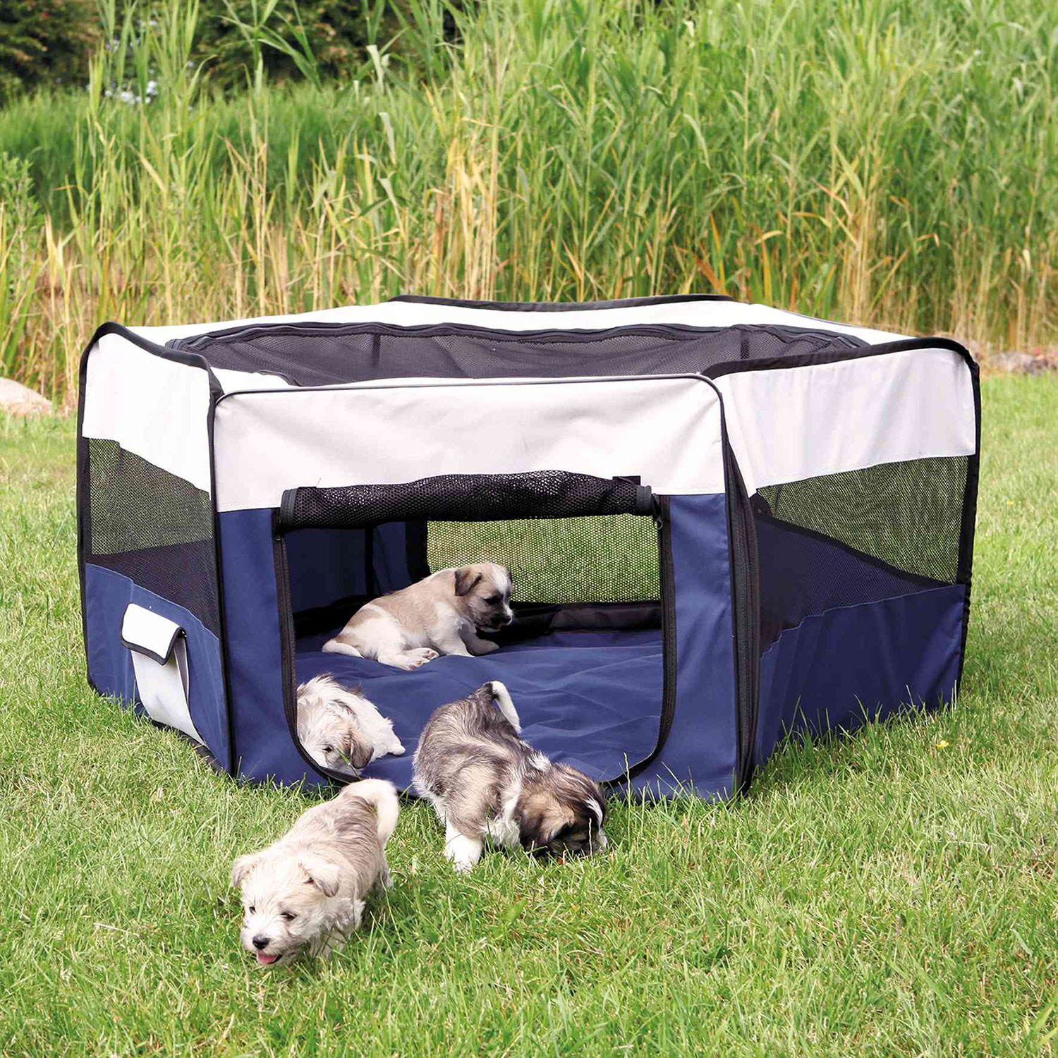 Recinto Roedores Plegable, Nylon, ø130 x 55 cm, Azul-Gris - Imagen 4