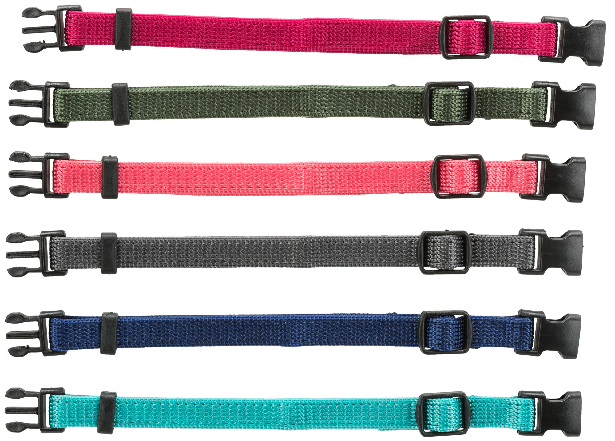 Junior Set de Collar Cachorros