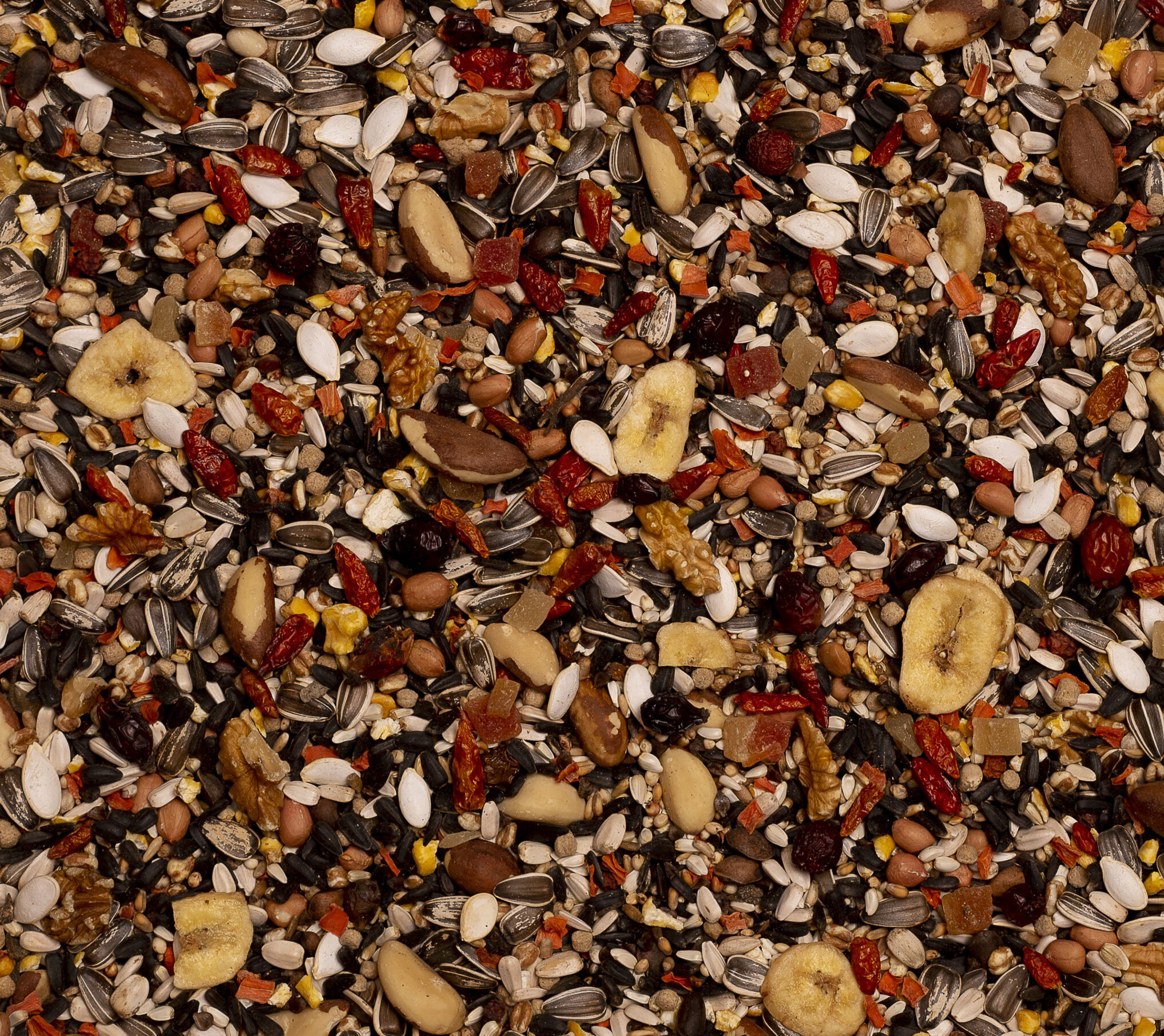 Birdelicious Loros Pantana - Imagen 2