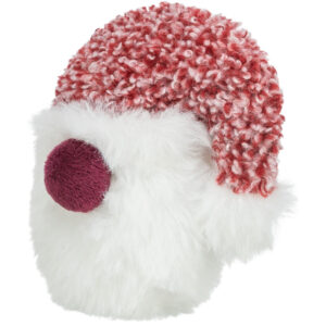 Santa Claus